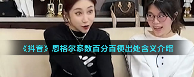《抖音》恩格尔系数百分百梗出处含义介绍