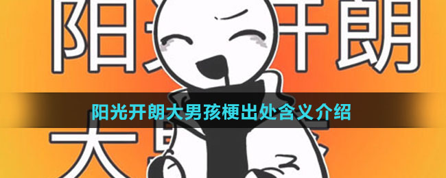 阳光开朗大男孩梗出处含义介绍
