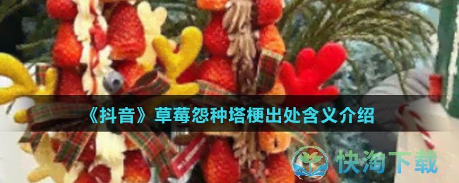 《抖音》草莓怨种塔梗出处含义介绍