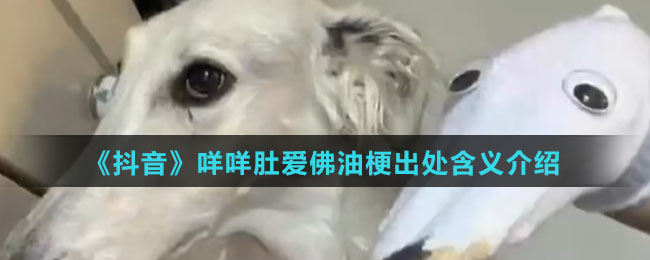 《抖音》咩咩肚爱佛油梗出处含义介绍