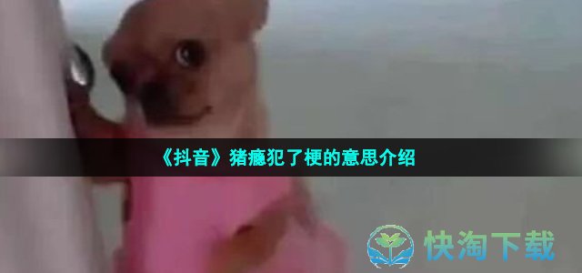 《抖音》猪瘾犯了梗的意思介绍