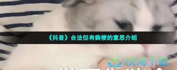 《抖音》合法但有病梗的意思介绍