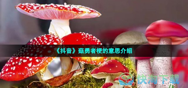 《抖音》菇勇者梗的意思介绍