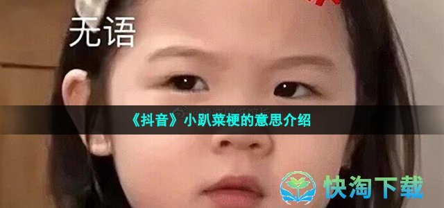 《抖音》小趴菜梗的意思介绍