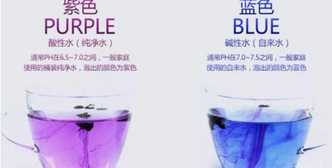 红枸杞和黑枸杞哪个补肾效果好（枸杞一天吃几颗补肾）