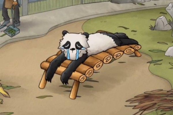 你是不是虾熊猫回家通关策略