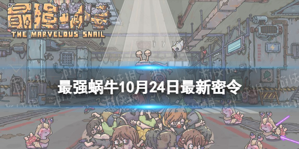 本站1