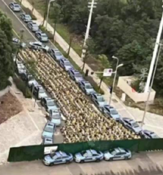 成都多名出租司机围堵共享电单车 交通运输局回应来了！