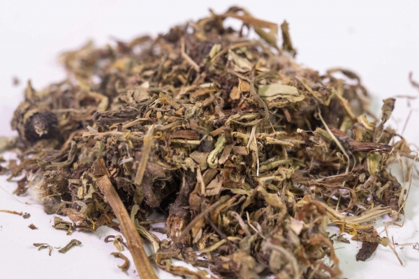 蒲公英根泡水喝的功效和作用-蒲公英根泡水喝的禁忌