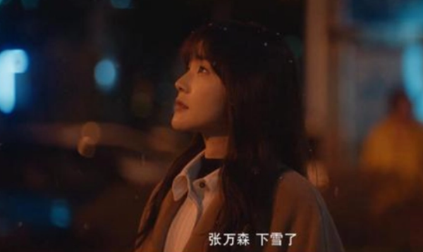 张万森下雪了意思推荐