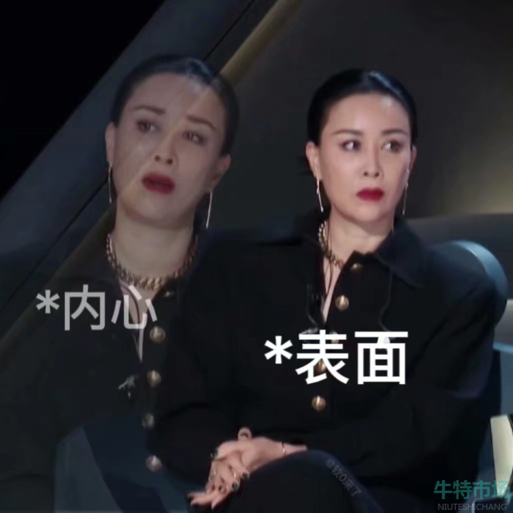 《抖音》理解那英成为那英梗的意思介绍
