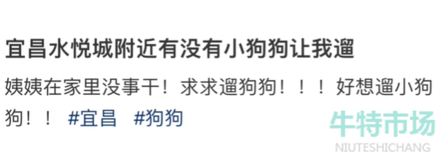 《抖音》学生证换狗梗的意思介绍