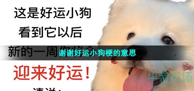 《抖音》谢谢好运小狗梗的意思介绍
