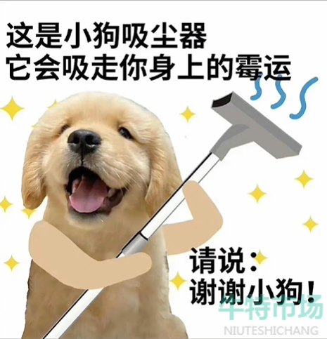《抖音》谢谢好运小狗梗的意思介绍