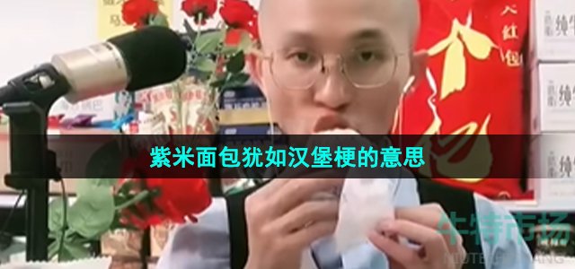 《抖音》紫米面包犹如汉堡梗的意思介绍