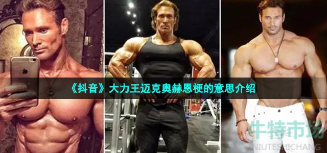 《抖音》大力王迈克奥赫恩梗的意思介绍