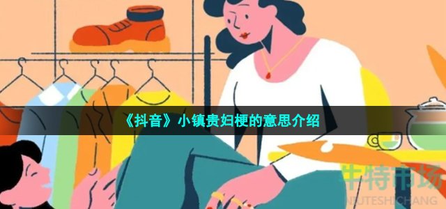 《抖音》小镇贵妇梗的意思介绍