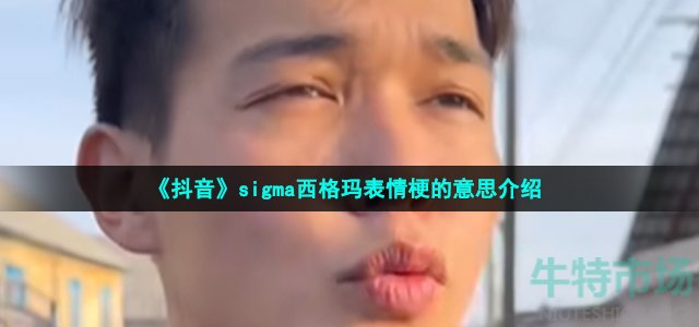 《抖音》sigma西格玛表情梗的意思介绍