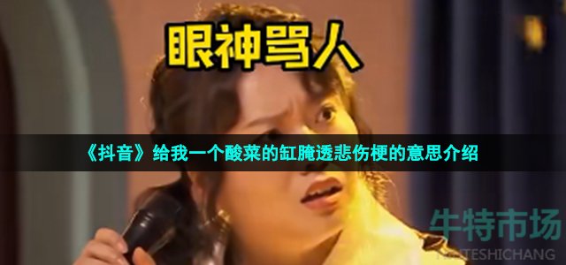《抖音》给我一个酸菜的缸腌透悲伤梗的意思介绍