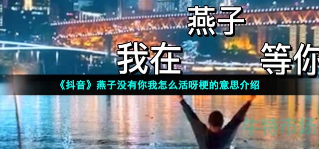 《抖音》燕子没有你我怎么活呀梗的意思介绍