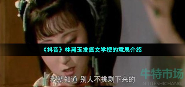 《抖音》林黛玉发疯文学梗的意思介绍