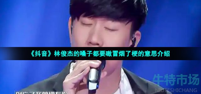 《抖音》林俊杰的嗓子都要嗷冒烟了梗的意思介绍