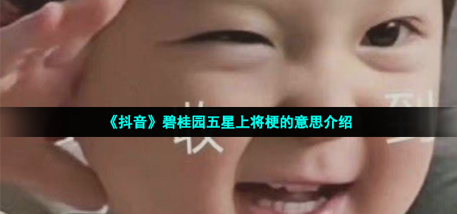 《抖音》碧桂园五星上将梗的意思介绍