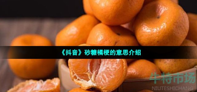 《抖音》砂糖橘梗的意思介绍