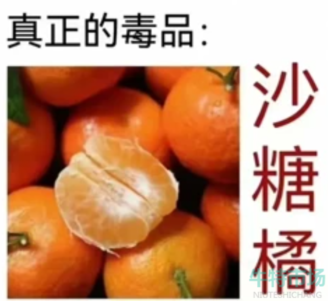 《抖音》砂糖橘梗的意思介绍