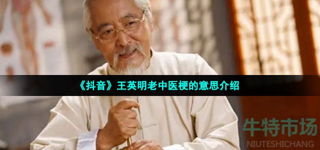 《抖音》王英明老中医梗的意思介绍
