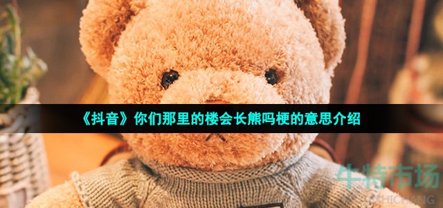 《抖音》你们那里的楼会长熊吗梗的意思介绍