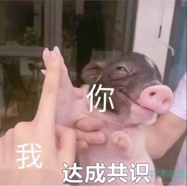 《抖音》你不嫁我不嫁养老院里蹦恰恰梗的意思介绍