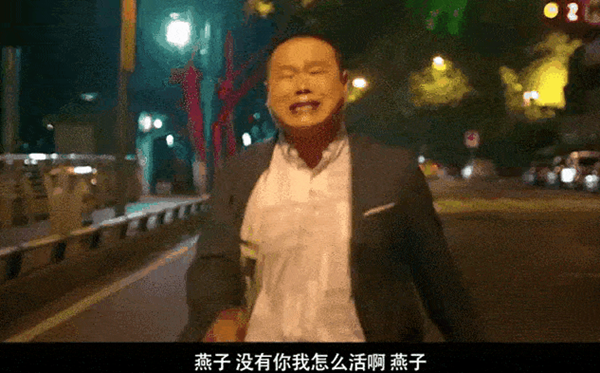 燕子没有你我可怎么活意思推荐