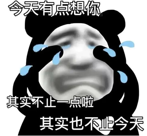 燕子没有你我可怎么活意思推荐