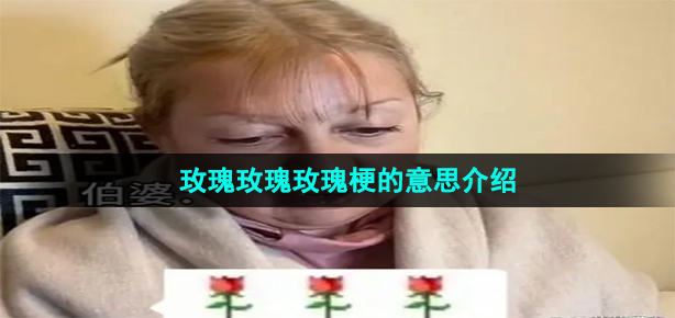 《抖音》玫瑰玫瑰玫瑰梗的意思介绍