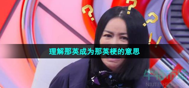 《抖音》理解那英成为那英梗的意思介绍