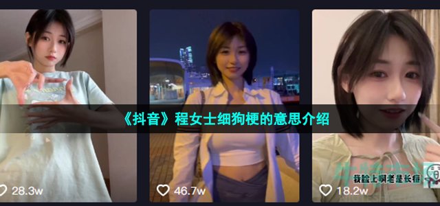 《抖音》程女士细狗梗的意思介绍