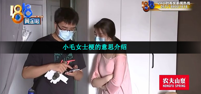 小毛女士梗的意思介绍