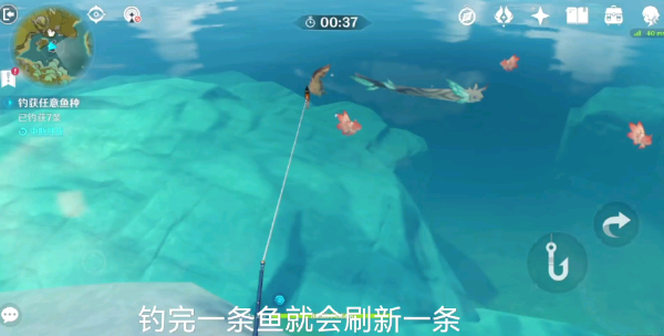 锖假龙每日可钓数量推荐