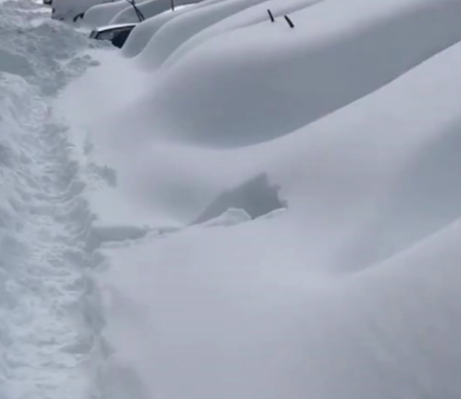 东北暴雪太夸张！黑龙江找车全靠挖、哈师大黑天鹅已被冻湖上两天！