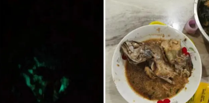 大妈买海鱼红烧后半夜发绿光 背后真相是什么？