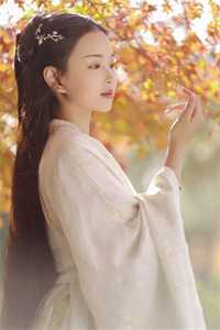 长篇小说阅读即兴创作山河图：掀起国风热潮