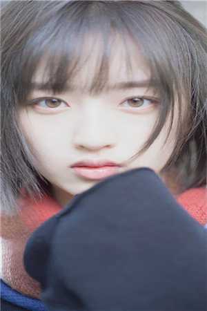 精品篇从毕业新生到官道大佬