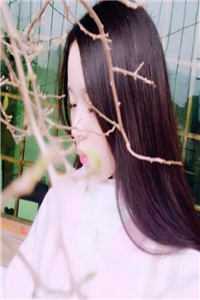 豪门夜宴全文章节