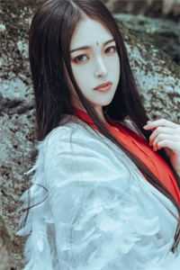 热门小说美食从手擀面开始
