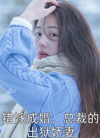 全本小说我的绝色老婆