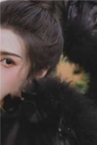 打假国术，爆红全网全本阅读