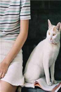 逆袭1982畅读全文版