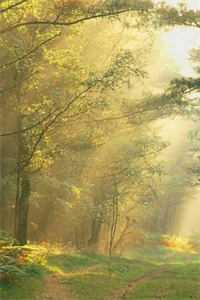 绝品风流狂医优质全文