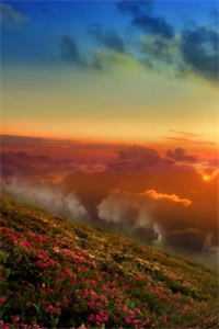 短篇小说阅读巅峰神医